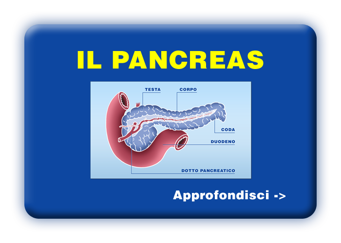 Quali organi e tessuti possono essere trapiantati - Il pancreas e le isole pancreatiche